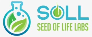 Don T Have To Impress