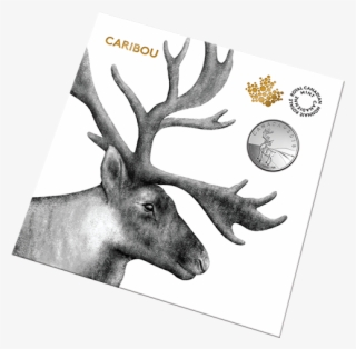 Royal Canadian Mint