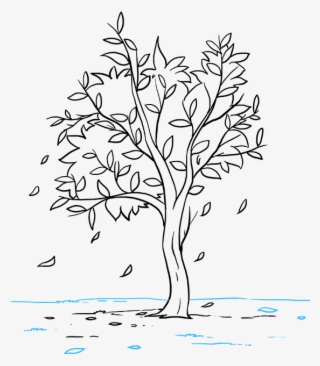 How To Draw Fall Tree - Easy Small Tree Drawings