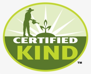 1500 X 1287 1 - Graphic Design