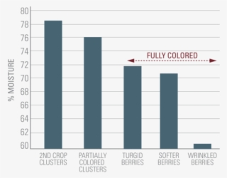 Many Of These Changes Could Be Directly Related To - Number
