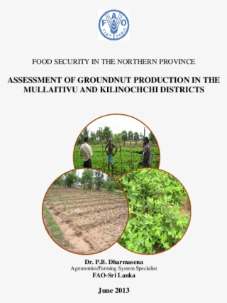 Pdf - United Nations Redd Programme