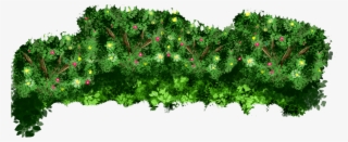 Arena Events Events Bushes - Larch