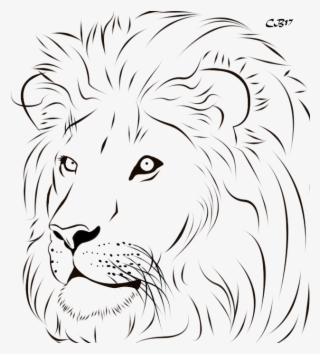 Drawing Lion Loin - Line Art Of Lion