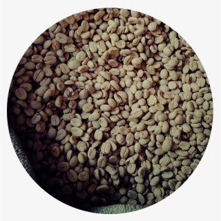 Bugisu Ab - - Pebble