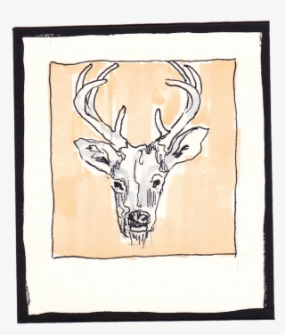 4 - Deer