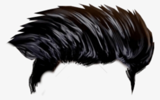 Free Png Editing Hair Hd Png Image With Transparent - Hd Photo Editing Background