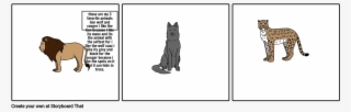 My 3 Favorite Animals - Black Cat