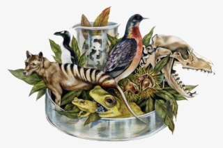 Cincinnati - Group Of Extinct Animals