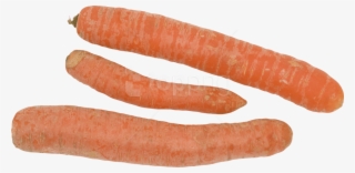 Free Png Carrot Png Images Transparent - Baby Carrot