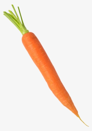 Carrot - Baby Carrot