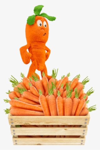 Cathy Carrot