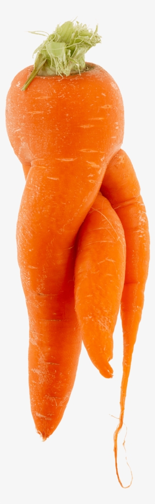 R - Wonky Carrot