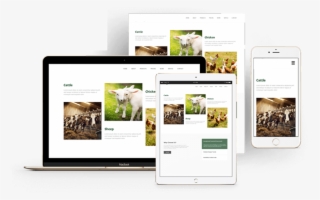 Zelco - Online Advertising