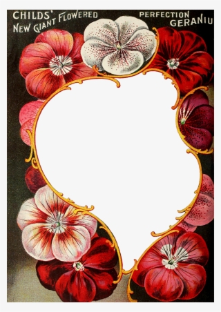 Wings Of Whimsy - Floral Design