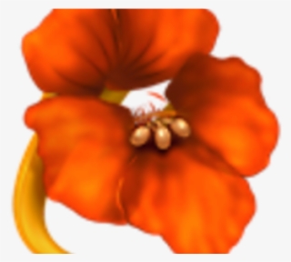 Flower Icon For Mac
