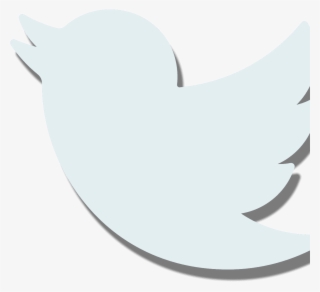 Twitter Is Just One Success Story Of How Progressive - Twitter Logo Flipped