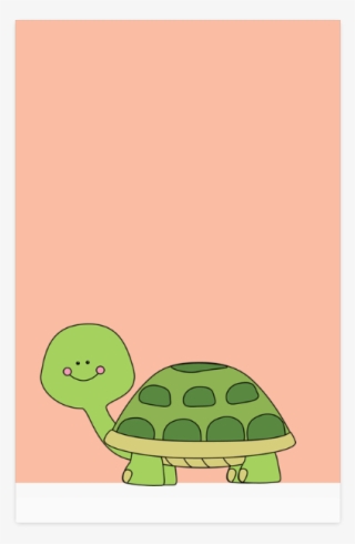 Tortoise