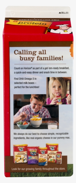 Horizon Organic Dha Omega 3 1% Low Fat Chocolate Milk, - Child