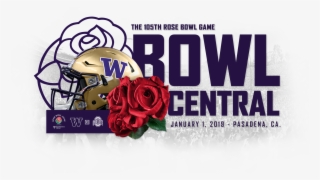 95973 - Garden Roses