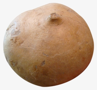 Jicama Png Image - Jicama Vegetable Png