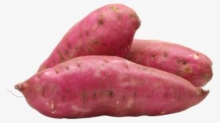 Sweet Potato