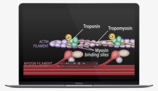 Discover New Ways To Learn - Led-backlit Lcd Display