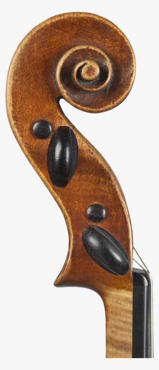 1 - Viola