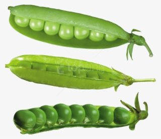 Download Pea Png Images Background - Lentilhas Desenho Png