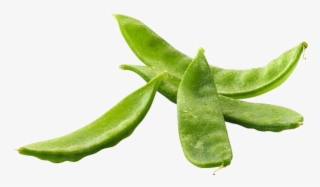 Pea Png Free Image - Snap Pea