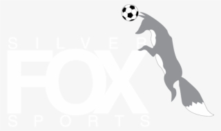 Silver Fox Sports Coaching Have Currently Called A - Graphic Design
