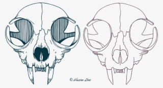 Cat Skull Vector Png