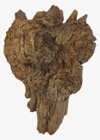 Wood