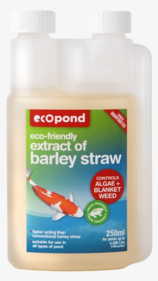 Extract Of Barley Straw - Koi
