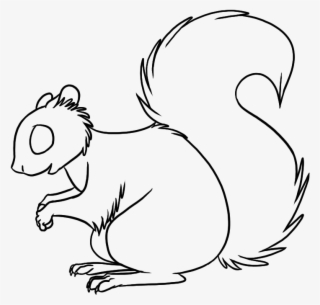 Jpg Free Stock Line Drawing At Getdrawings Com Free - Squirrel Drawing Png