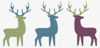 3 Stags1 - Reindeer