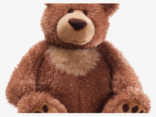 Teddy Bear Png Transparent Images - Transparent Teddy Bear Png