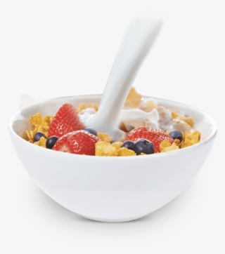 Bowl Of Cereal - Cereal