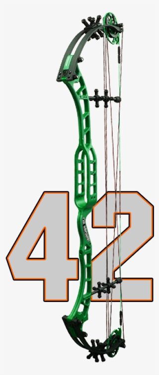 Data Absolute - Ok Archery