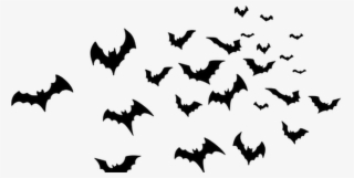 #ftestickers #bat #silhouette #bats #halloween - Stencil Owl On Branch