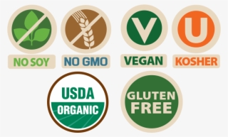 Organic Macaroni Casserole - Usda Organic