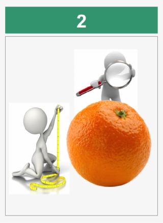 2-600x822 - Blood Orange