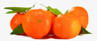 Orange, Isolated, Fruit, Plant, Nature, Close - Clementine Png