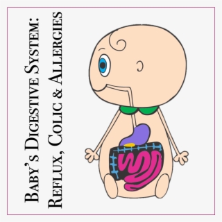 Baby's Digestive System & Reflux - Cartoon