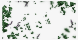 Start Exploring Rumen Development - Christmas Tree