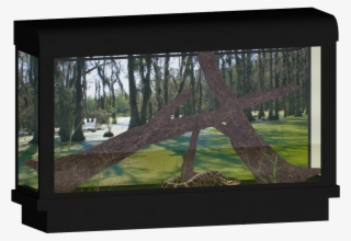 Yellow Anaconda - Zoo Tycoon 2 Terrariums