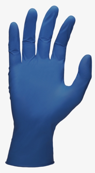800 X 1550 4 - Lab Gloves Png