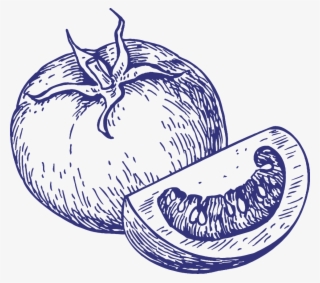 Frutas Y Verduras - Sauce Drawing