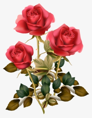Фотки Red Rose Png, Red Roses, Rose Clipart, Vintage - Flower Good Morning Roses