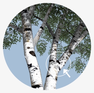 Weld - Seam Tree